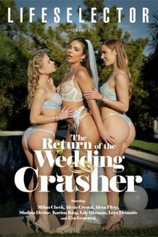The Return of The Wedding Crasher