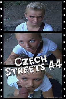 Чешские Улицы 44